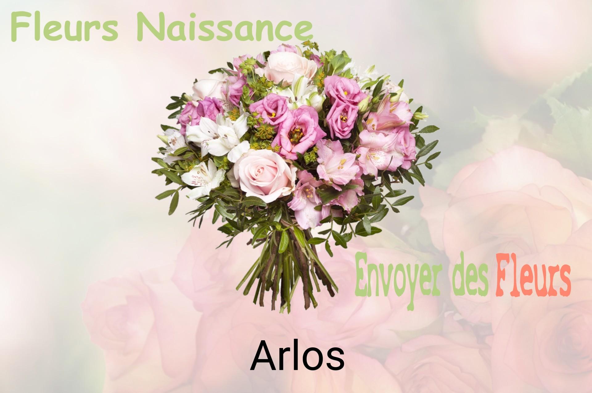 Bouquet de fleurs de naissance livré à Arlos