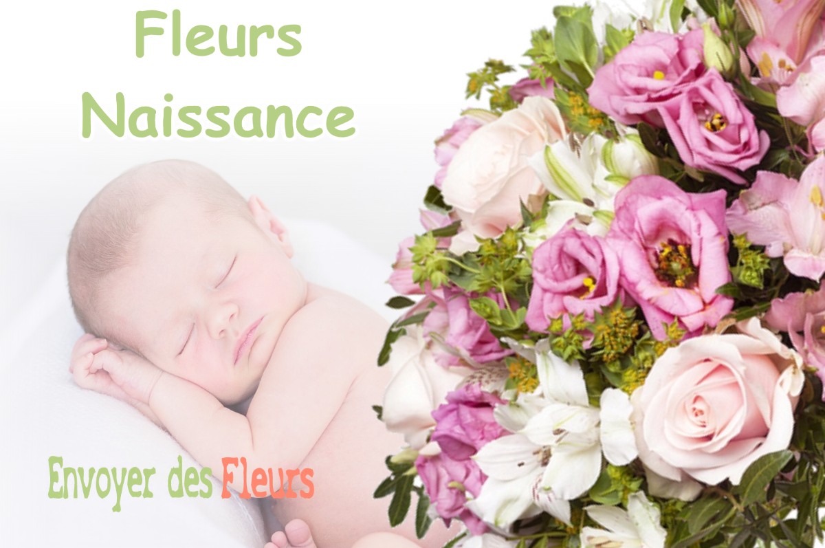 lIVRAISON FLEURS NAISSANCE à ARLOS